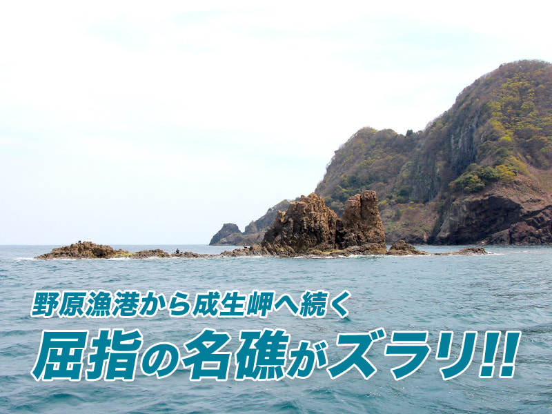 キティ 根付 チューリップ ホタルイカ 輪島朝市 金沢 加賀友禅 忍者 永平寺 ライ #イッちゃん #ホッキョクグマ #よこはま動物園ズーラシア