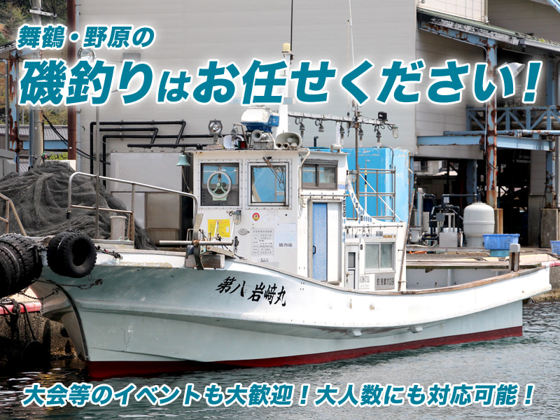 兼六園めぐり 2025年4月7日】 染井吉野が満開の下、ライトアップ